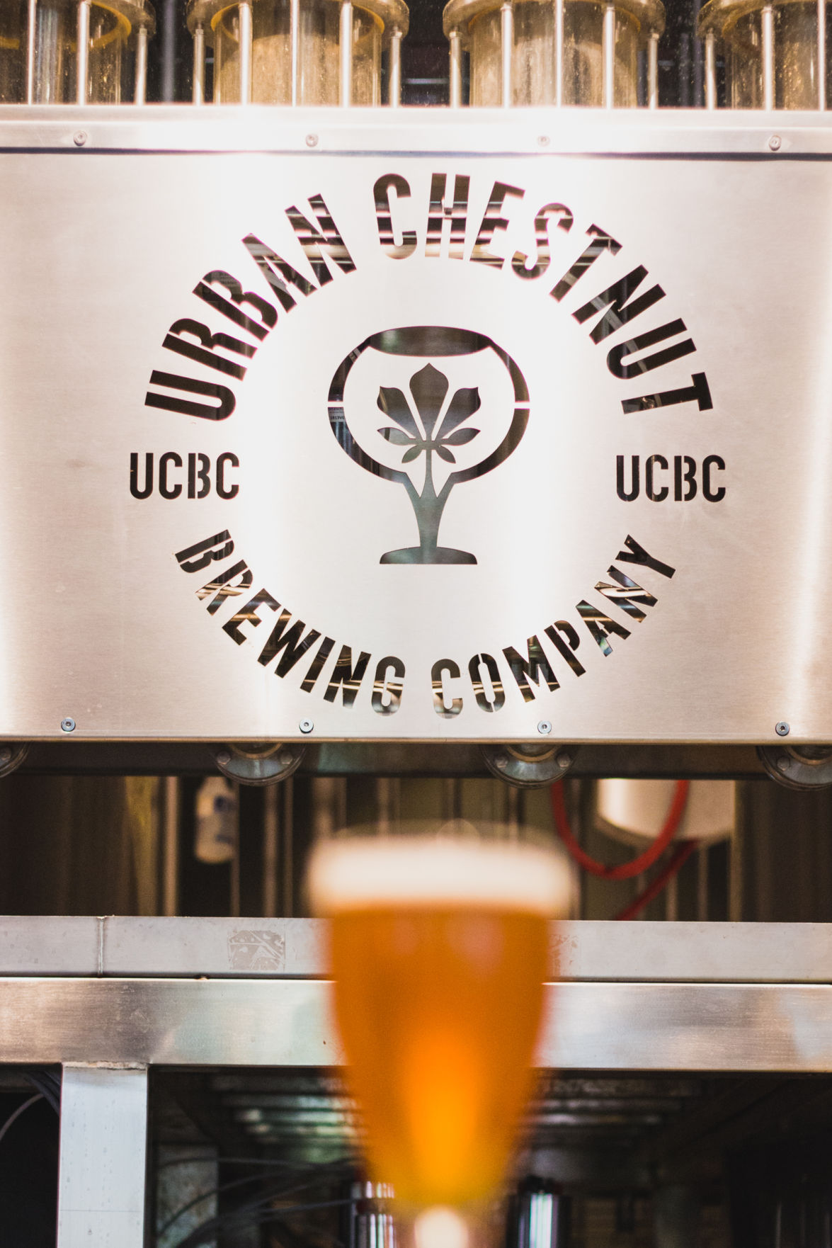 Urban Chestnut.jpg